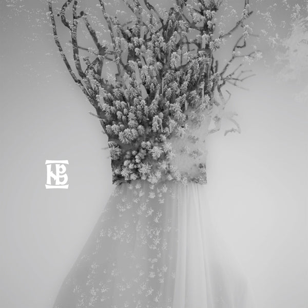 |   | Negura Bunget - Zau (LP) | Records on Vinyl