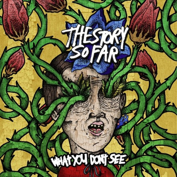 |  Vinyl LP | Story So Far - What You Don't See (LP) | Records on Vinyl