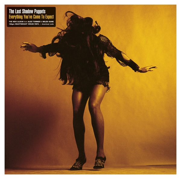 |   | Last Shadow Puppets - Everything You've Come To Expect (LP) | Records on Vinyl