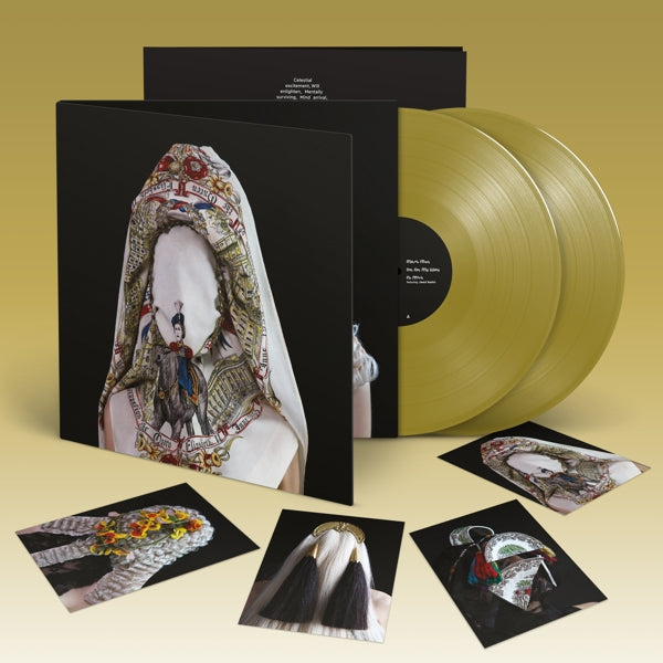 |   | Steve Mason - Brothers & Sisters (2 LPs) | Records on Vinyl