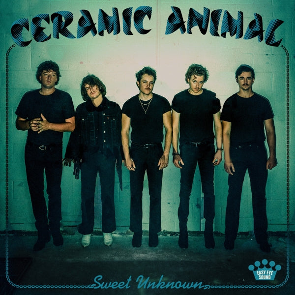 |  Vinyl LP | Ceramic Animal - Sweet Unknown (LP) | Records on Vinyl