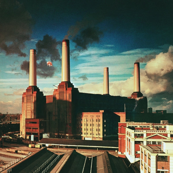 |  Vinyl LP | Pink Floyd - Animals (LP) | Records on Vinyl