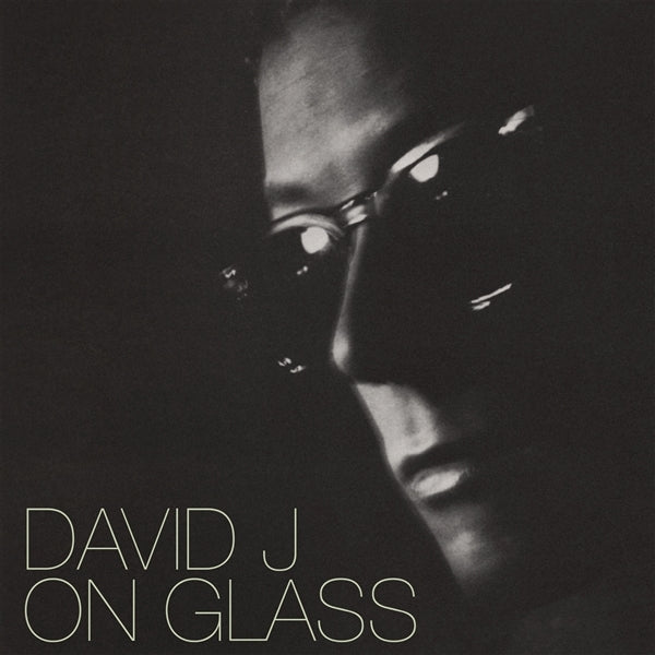|  Vinyl LP | David J - On Glass (2 LPs) | Records on Vinyl