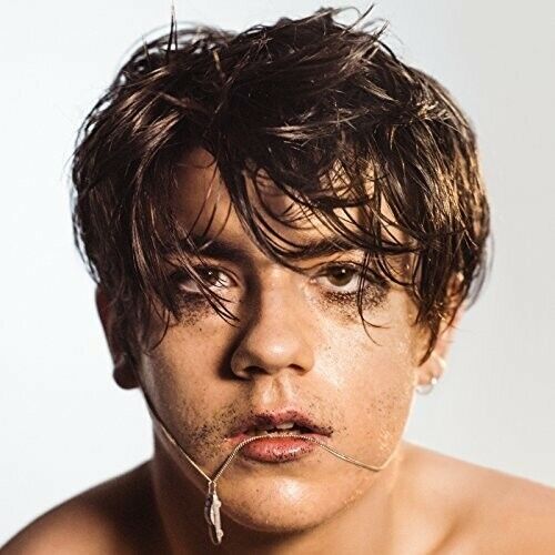 |  Vinyl LP | Declan McKenna - What Do You Think About the Car? (2 LPs) | Records on Vinyl