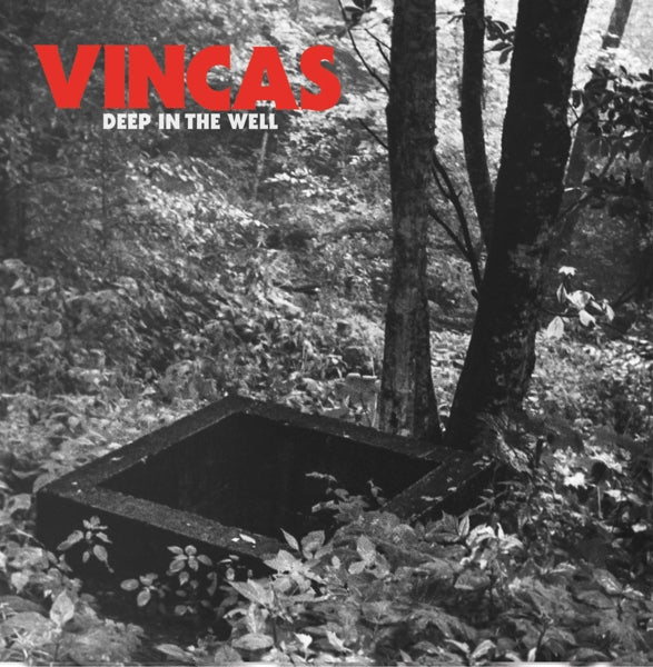 |  Vinyl LP | Vincas - Deep In the Well (LP) | Records on Vinyl