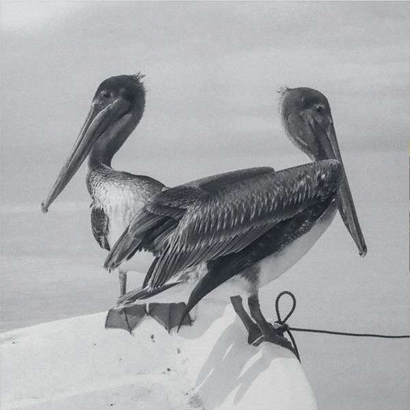 |  Vinyl LP | Timo Kamarainen - Blink and You Miss It (LP) | Records on Vinyl