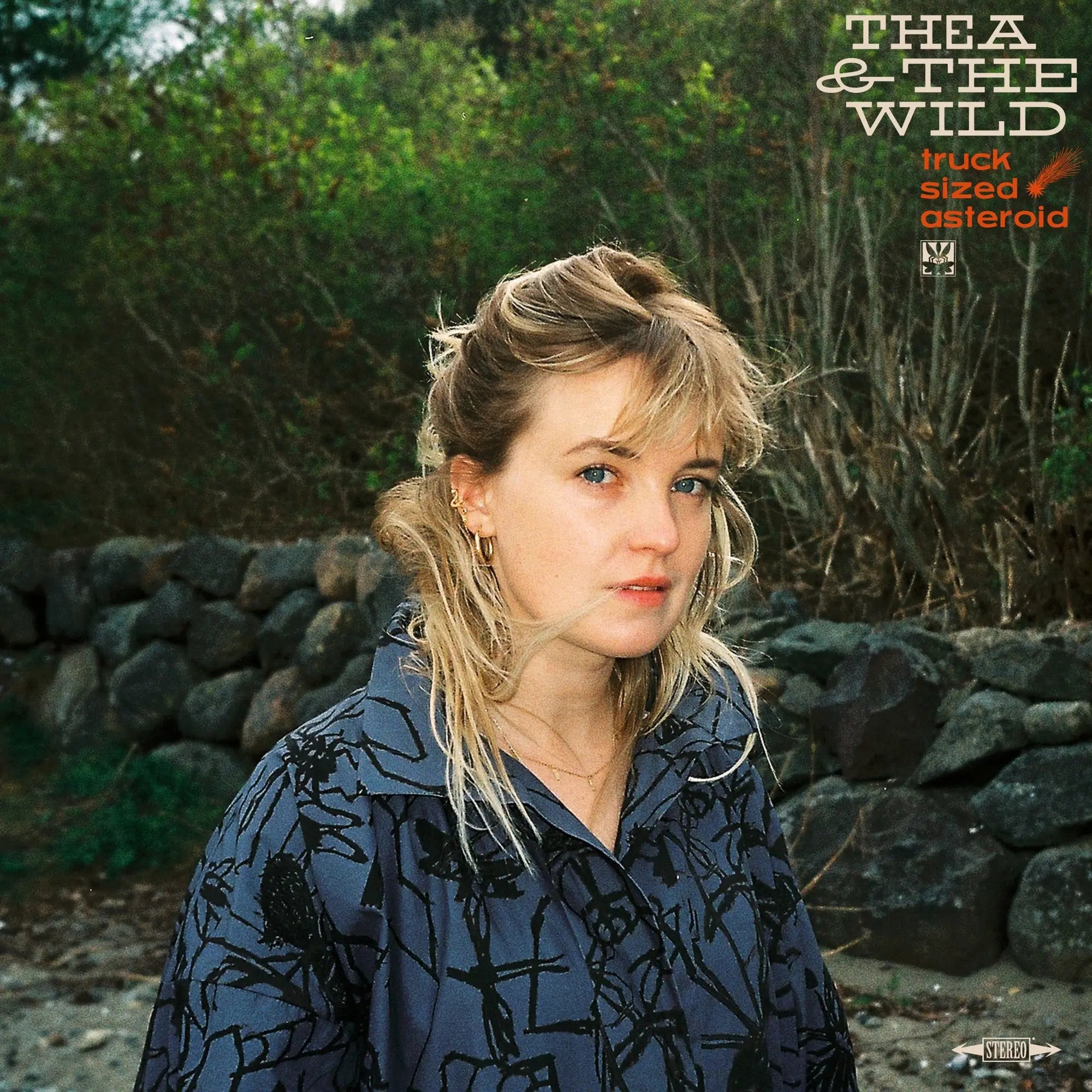 |  Vinyl LP | Thea & the Wild - Truck Sized Asteroid (LP) | Records on Vinyl