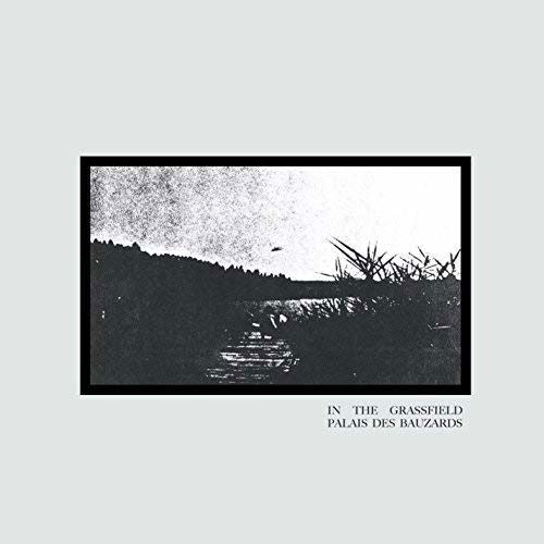 |  Vinyl LP | Palais Des Bauzards - In the Grassfield (LP) | Records on Vinyl
