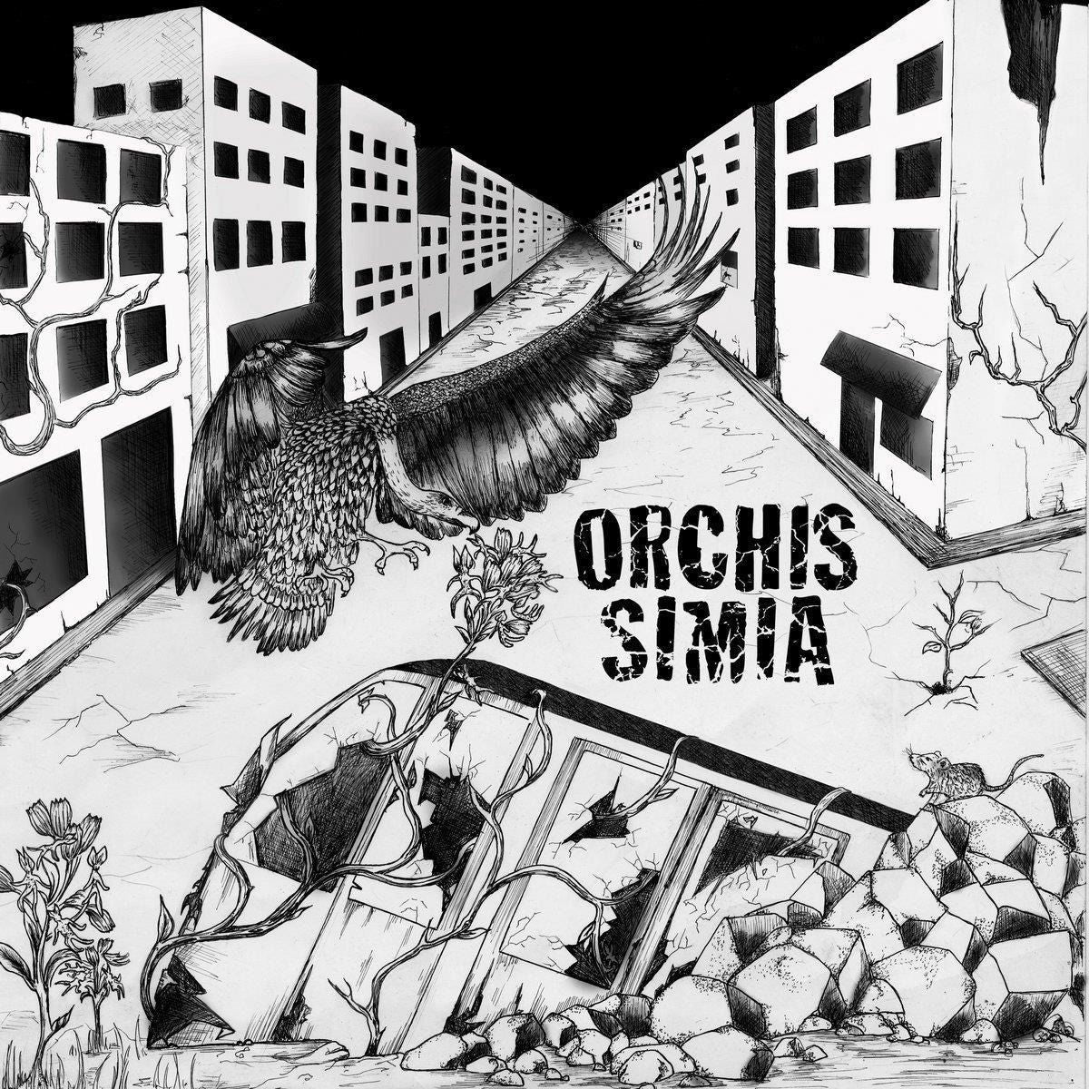 |  Vinyl LP | Orchis Simia - Orchis Simia (2 LPs) | Records on Vinyl