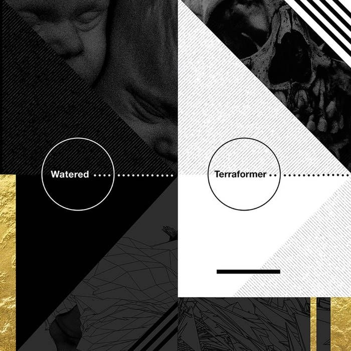 |  Vinyl LP | Watered/Terraformer - Split (LP) | Records on Vinyl