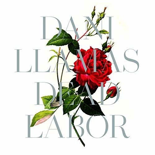 |  Vinyl LP | Dani Llamas - Dead Labor (LP) | Records on Vinyl