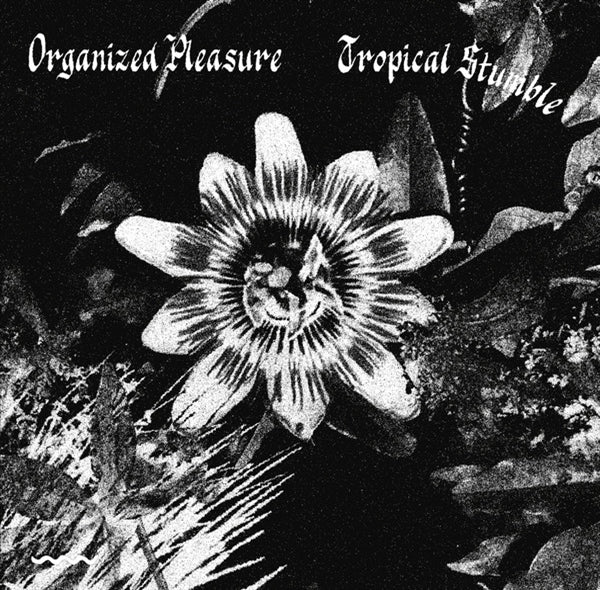 |  7" Single | Organised Pleasure/Satin Wall - Tropical Stumble/Dans Les Profondeurs (Single) | Records on Vinyl