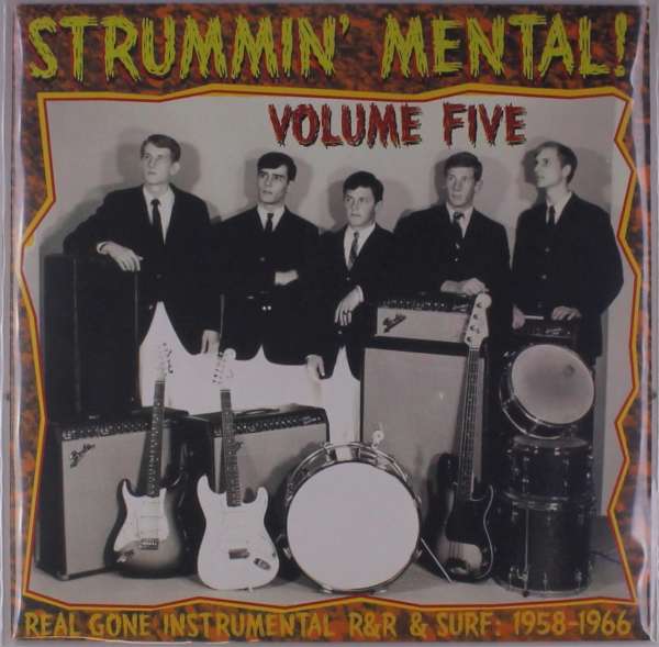 |  Vinyl LP | Various - Strummin' Mental 5 (LP) | Records on Vinyl
