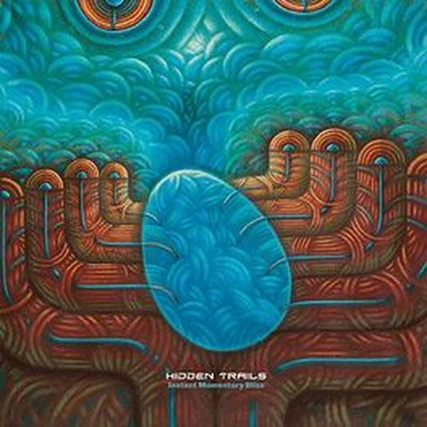 |  Vinyl LP | Hidden Trails - Instant Momentary Bliss (LP) | Records on Vinyl