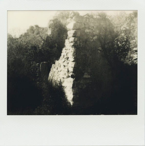 |  Vinyl LP | Monnik - Bedevaart (LP) | Records on Vinyl