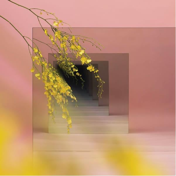 |  Vinyl LP | Witxes - Orients (LP) | Records on Vinyl