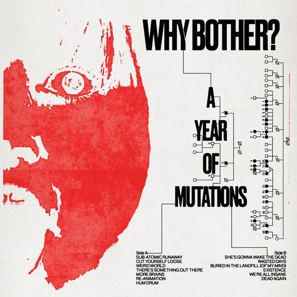 |  Vinyl LP | Why Bother? - A Year of Mutations (LP) | Records on Vinyl