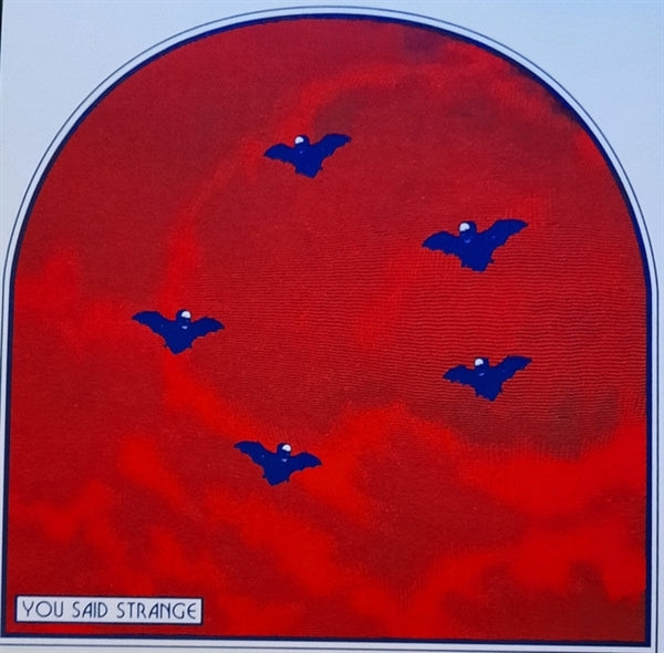 |  7" Single | You Said Strange - Mourning Colors (Single) | Records on Vinyl