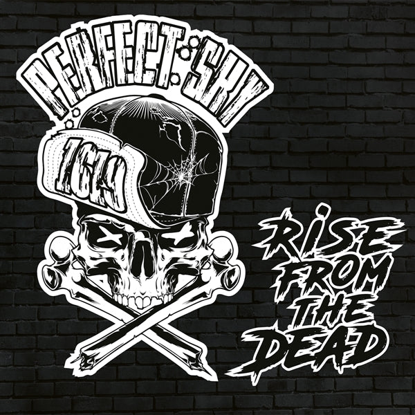 |  Vinyl LP | Perfect Sky - Rise From the Dead (LP) | Records on Vinyl