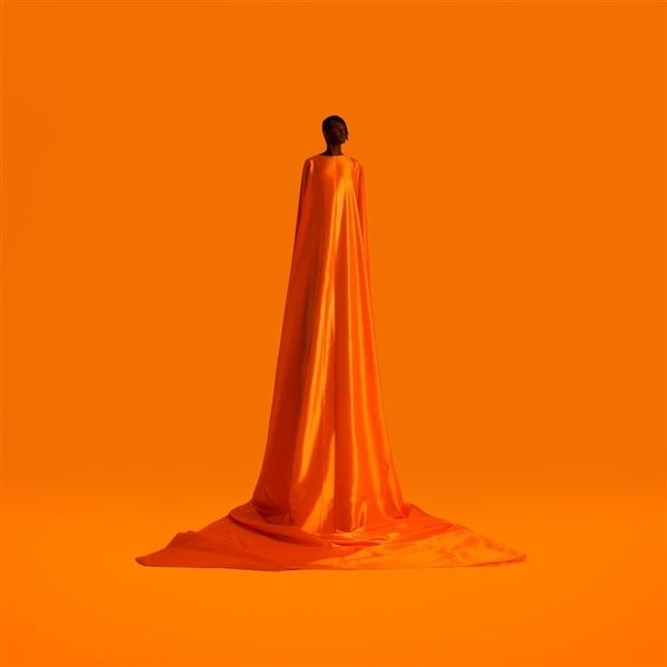 |  Vinyl LP | Wayne Snow - Figurine (LP) | Records on Vinyl