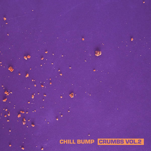 |  Vinyl LP | Chill Bump - Crumbs Vol. 2 (LP) | Records on Vinyl