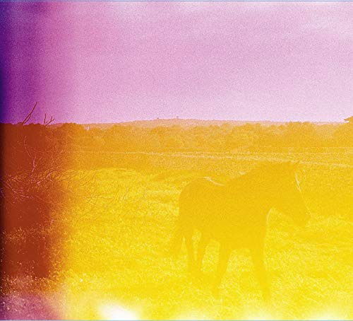 |  Vinyl LP | Marion/Gaspar Claus Cousin - Jo Estava Que M'abrasava (LP) | Records on Vinyl