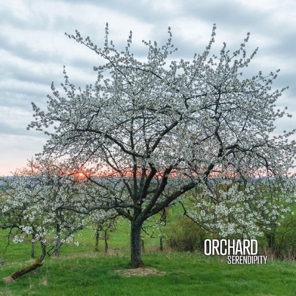 |  Vinyl LP | Gaspar Claus Orchard (Aidan Baker - Serendipity (2 LPs) | Records on Vinyl