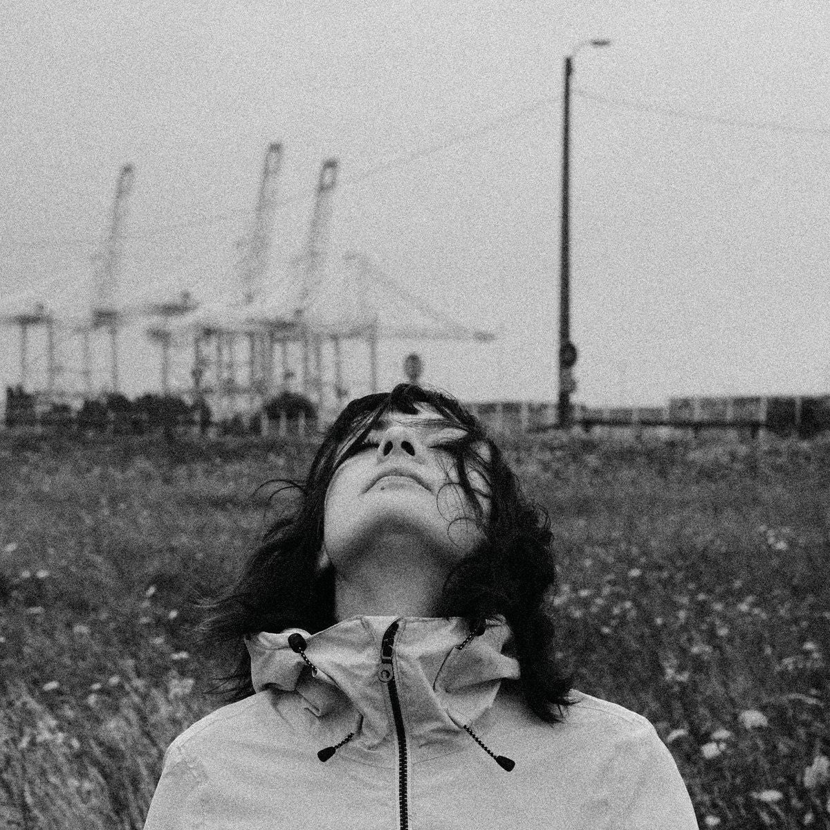 |  Vinyl LP | Tereglio - Woven Eyelids (LP) | Records on Vinyl