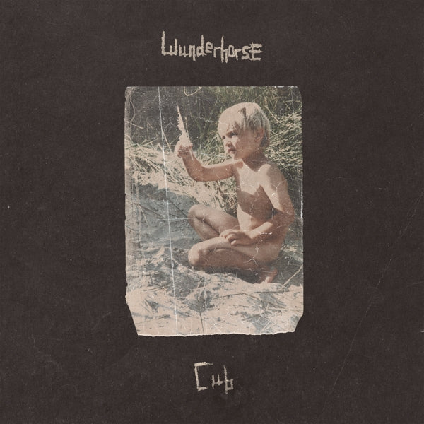 |  Vinyl LP | Wunderhorse - Cub (2 LPs) | Records on Vinyl