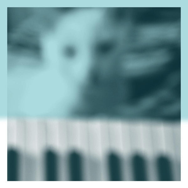 |  Vinyl LP | Peter Broderick - Piano Works Vol. 1 (2 LPs) | Records on Vinyl