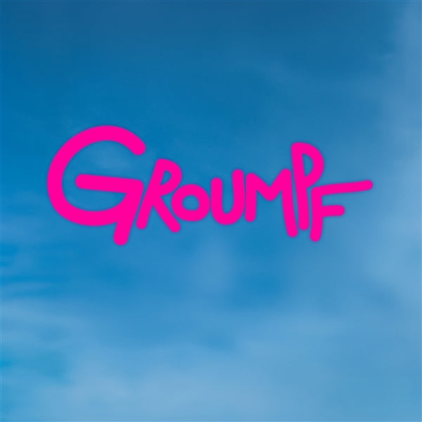 |  Vinyl LP | Groumpf - The Beauty, the Love, the Flawoz (2 LPs) | Records on Vinyl