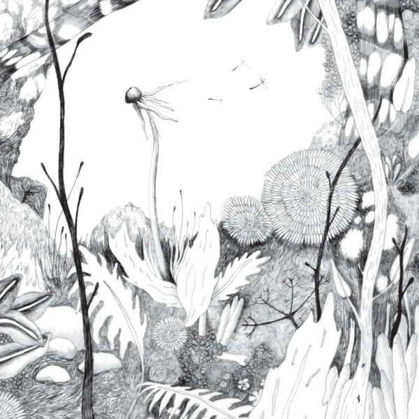 |  Vinyl LP | Back & Forth - Time Whispers (LP) | Records on Vinyl