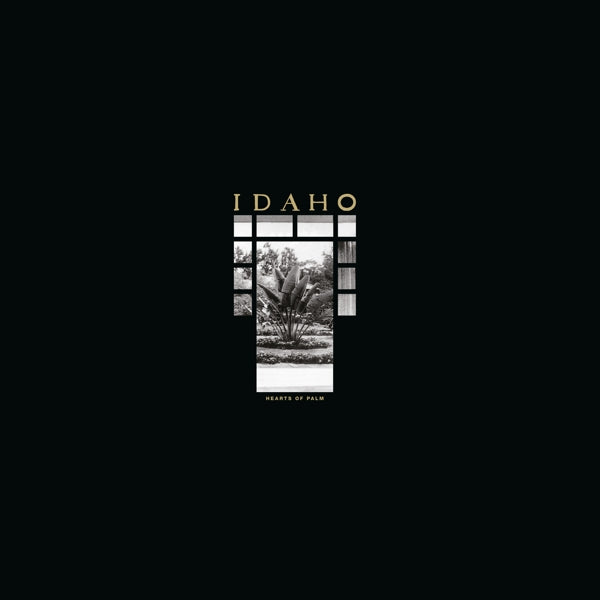 |  Vinyl LP | Idaho - Hearts of Palm (LP) | Records on Vinyl