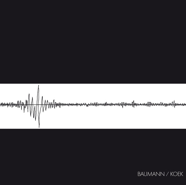 |  Vinyl LP | Baumann/Koek - Baumann/Koek (LP) | Records on Vinyl