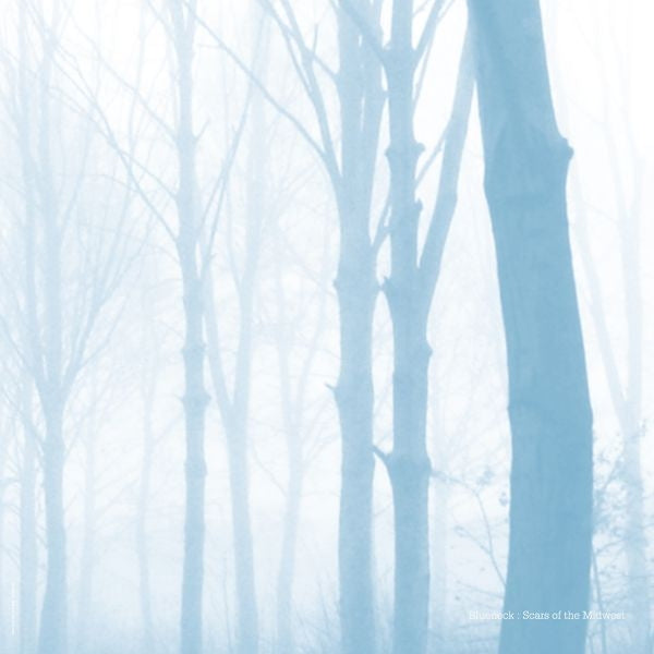 |  Vinyl LP | Blueneck - Scars of the Midwest (LP) | Records on Vinyl