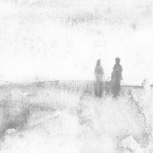 |  Vinyl LP | Birds of Passage & Leonardo Rosado - Dear and Unfamiliar (LP) | Records on Vinyl