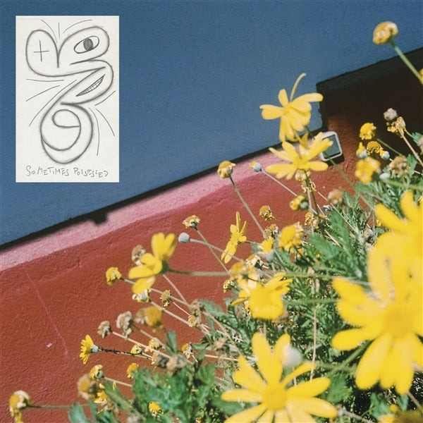 |  Vinyl LP | Laundromat Chicks - Sometimes Possessed (LP) | Records on Vinyl