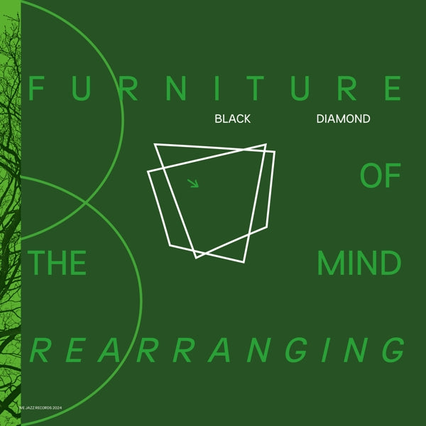 |   | Black Diamond - Furniture of the Mind Rearranging (2 LPs) | Records on Vinyl