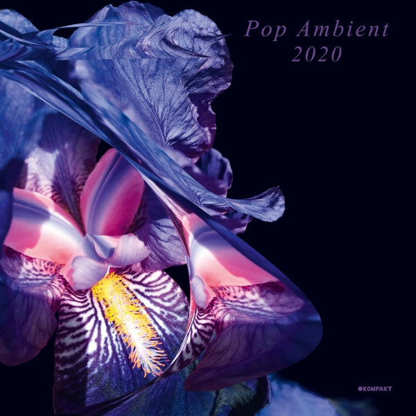 |  Vinyl LP | V/A - Pop Ambient 2020 (2 LPs) | Records on Vinyl