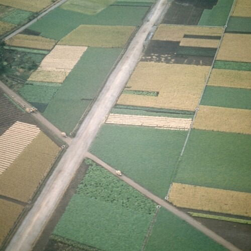 |  Vinyl LP | Celer - Perfectly Beneath Us (LP) | Records on Vinyl