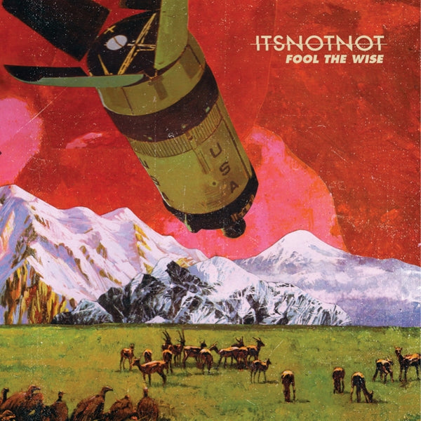 |  Vinyl LP | It's Not Not - Fool the Wise (LP) | Records on Vinyl