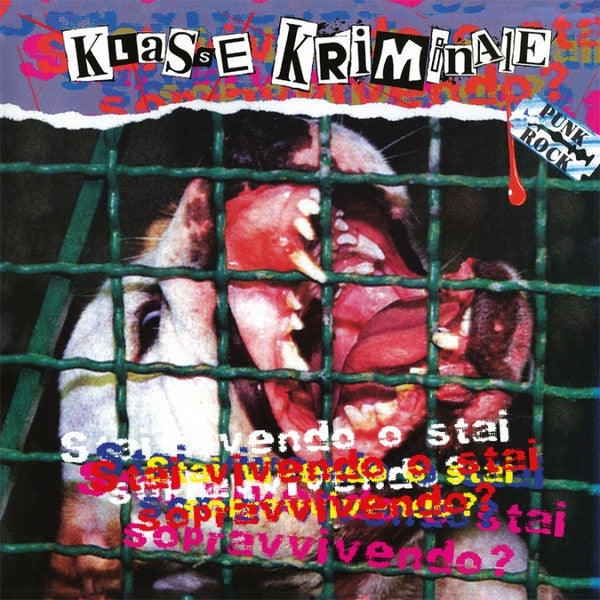 |  Vinyl LP | Klasse Kriminale - Stai Vivendo O Stai Sopravvivendo? (LP) | Records on Vinyl