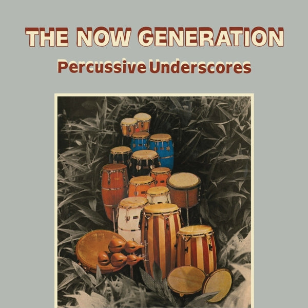 |  Vinyl LP | Peter & Pit Troja Ludemann - The Now Generation (LP) | Records on Vinyl