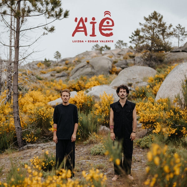 |  Vinyl LP | Luizga - Aias (LP) | Records on Vinyl