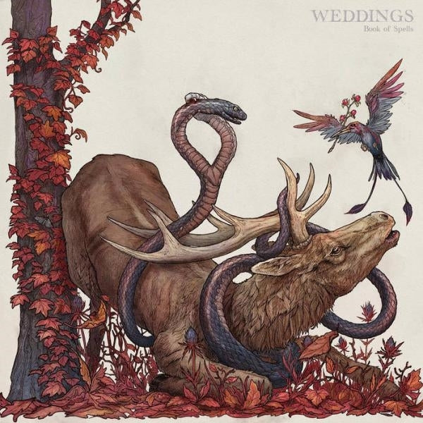 |  Vinyl LP | Weddings - Book of Spells (LP) | Records on Vinyl