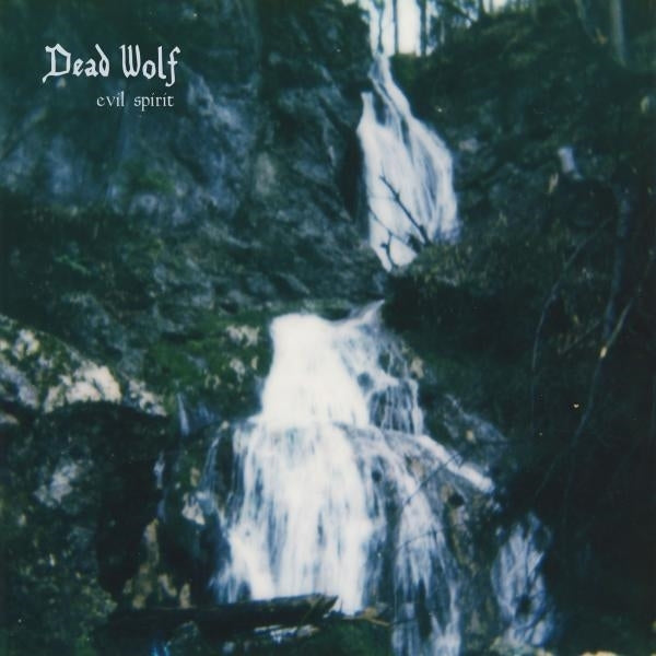 |  Vinyl LP | Dead Wolf - Evil Spirit (LP) | Records on Vinyl