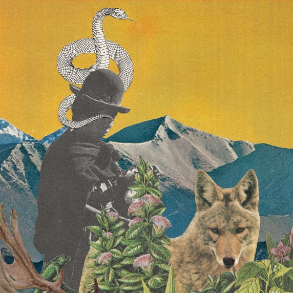 |  Vinyl LP | Leslie Graves & Toby Goodshank - Between Worlds (LP) | Records on Vinyl