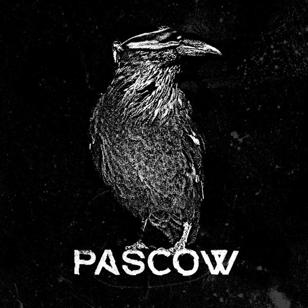 |  Vinyl LP | Pascow - Diene Der Party (LP) | Records on Vinyl
