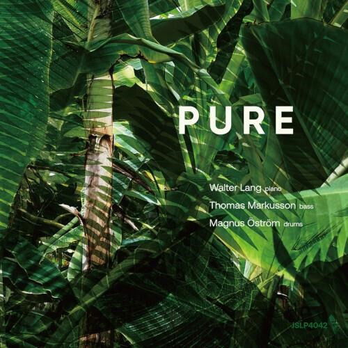 Walter Lang Trio - Pure (LP) Cover Arts and Media | Records on Vinyl