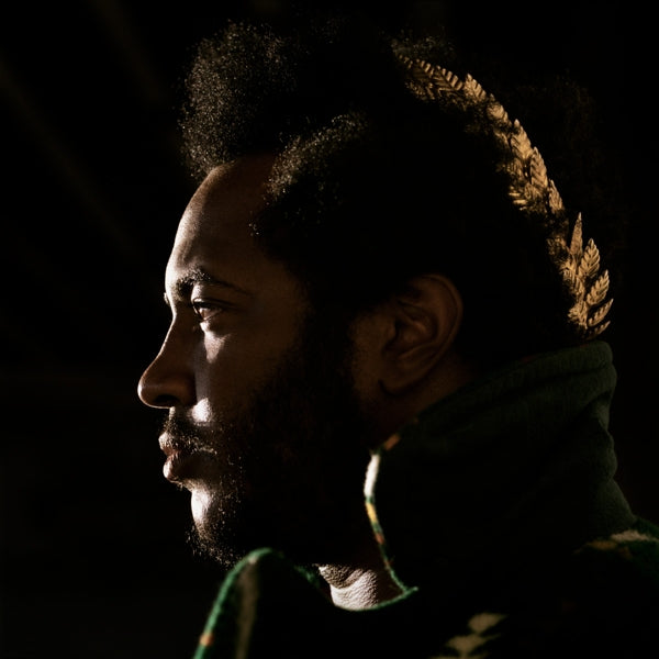 |  Vinyl LP | Thundercat - Apocalypse (2 LPs) | Records on Vinyl